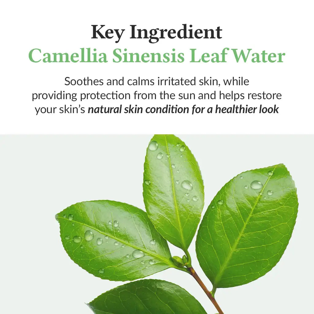 DR ALTHEA GREEN TEA FRESH SUNSCREEN SPF 50+ 45ML