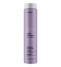 ERAYBA ABH Silver Shampoo no-yellow 250ml