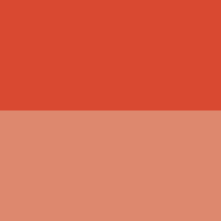 ABSOLUTE NEW YORK CHEEKY BLOOM BLUSH FLUSHED POPPY 01