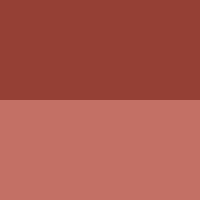 ABSOLUTE NEW YORK CHEEKY BLOOM BLUSH RUSTIC CARNATION 05